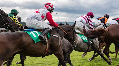 chester races betting|Chester Racecourse Guide .